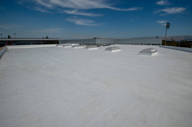 Best Asphalt Shingle Roofing  in Princeton, FL