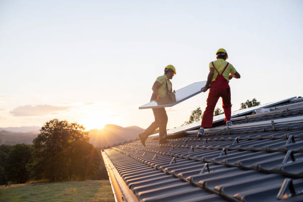 Best Roof Maintenance and Cleaning  in Princeton, FL