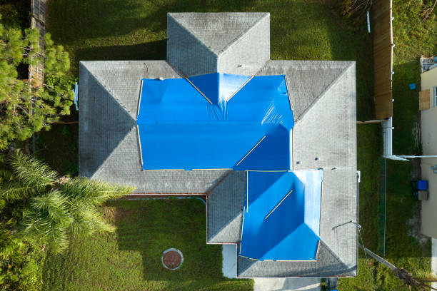 Best Storm Damage Roof Repair  in Princeton, FL