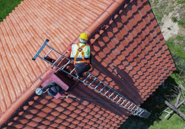 Best Siding  in Princeton, FL