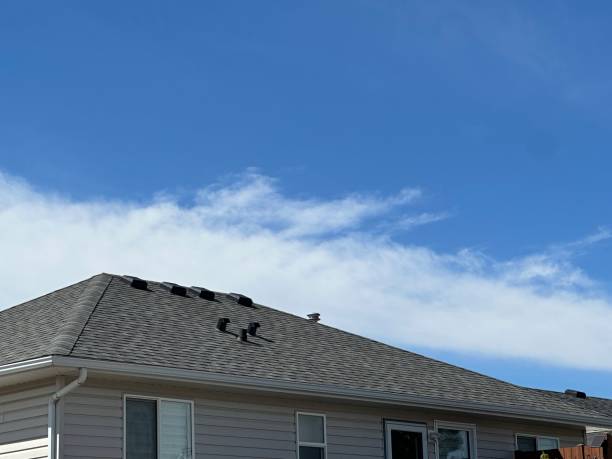 Best Steel Roofing  in Princeton, FL