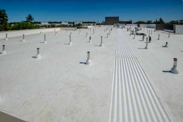 Best Metal Roofing Installation  in Princeton, FL